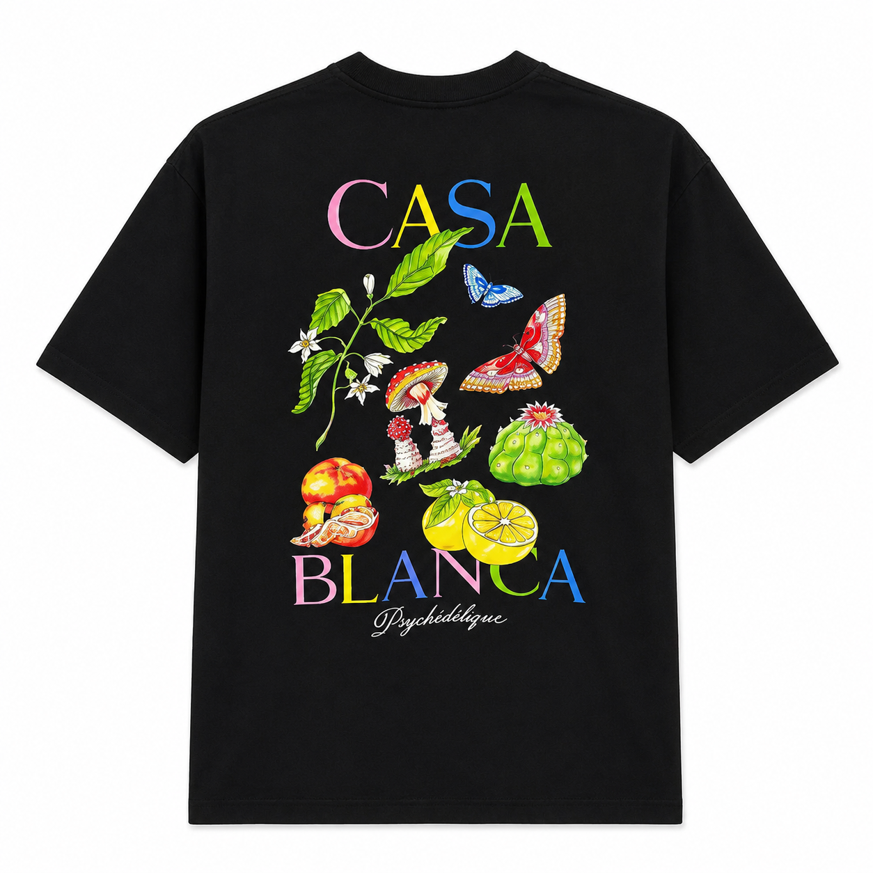SULYZ- „CASA“ V2