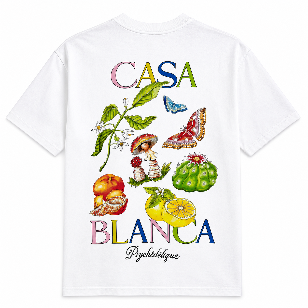 SULYZ- „CASA“ V2
